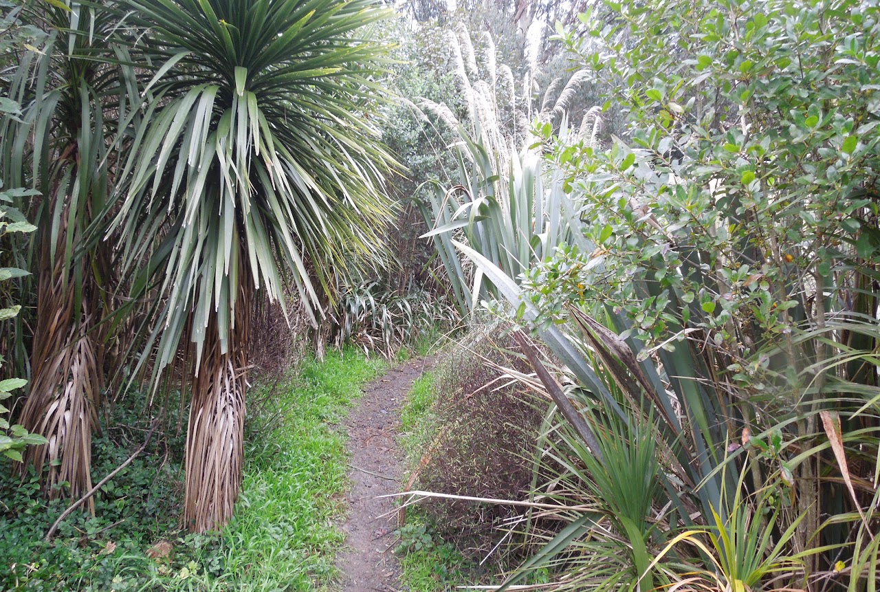 16 - Wingfield Reserve Middleton Road Wingfield Reserve Middleton Road